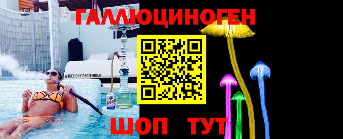 Галлюциногенные грибы Psilocybe Артёмовский