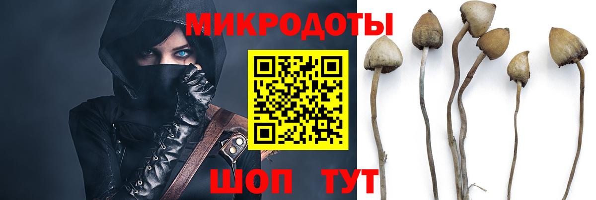 Артёмовский  Псилоцибиновые грибы прущие грибы  Вход с VPN  Галлюциногенные грибы Magic Shrooms 